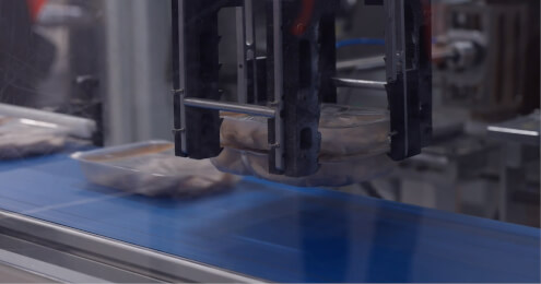 CP foods poultry packing gripper fcard sol