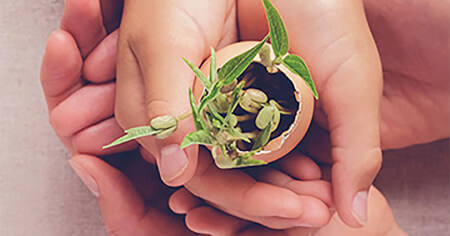 OMRON ESG plant in hands fcard sol