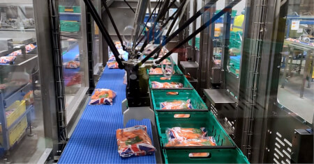 brillopak 2025 fcard prod