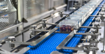conveyor sealed fruit bboard sol