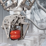 delta pepper 193x193 v1 sol