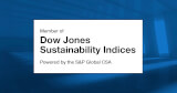 dow jones sustainable indices 2021 fcard logo
