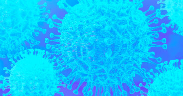 eu corona virus 2020 fcard comp