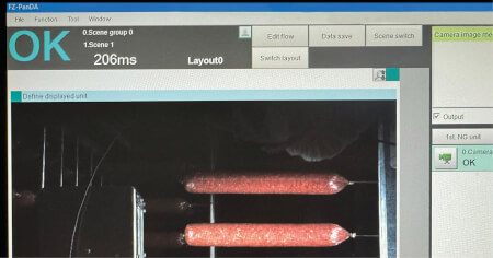 prolongo-faccsa sausage-inspection fcard en misc