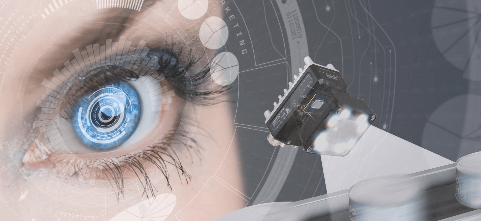 inar of Integration of the Artificial Vision OMRON, España